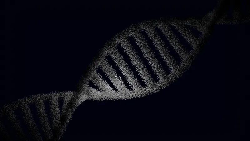Epigenética: Como Seus Hábitos Diários Reescrevem a Linguagem das Suas Células